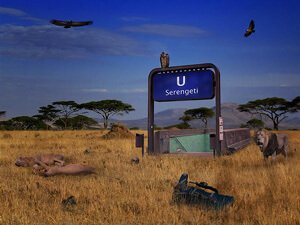 Serengeti-Nationalpark: Autobahn bedroht Ökosystem!