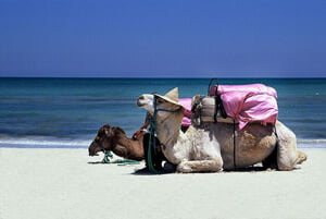  Tunesien Urlaub: Wie man jetzt günstig verreist