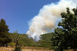 Ibiza-Waldbrand-Feuer
