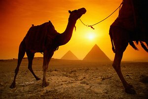  Ägypten Urlaub: Keine Lebensmittel nach Deutschland einführen