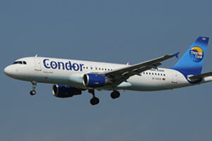 Condor-Eintagsfliegen-News-Artikel