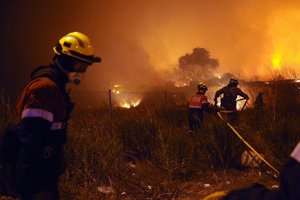 Waldbrand Katalonien Spanien Artikel