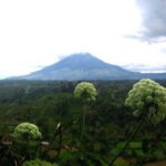 Sumatra Mount Sinabung