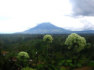 Sumatra Mount Sinabung
