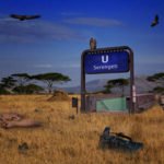 Serengeti-Nationalpark