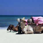 Tunesien-Urlaub-buchen