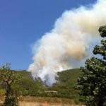 Ibiza-Waldbrand-Feuer