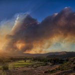 USA Feuersturm Waldbrand Artikel