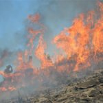 Waldbrand Spanien aktuell Artikel