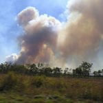 Waldbrand Australien Neuseeland aktuell Artikel