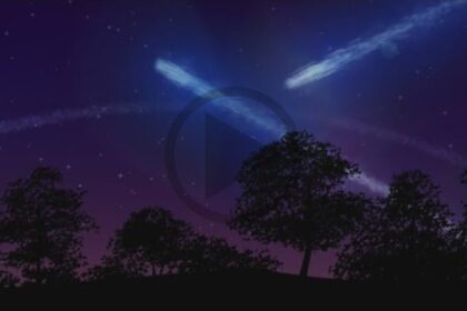 sternschnuppen-im-august-2025-perseiden-heute-nacht-live-zu-sehen