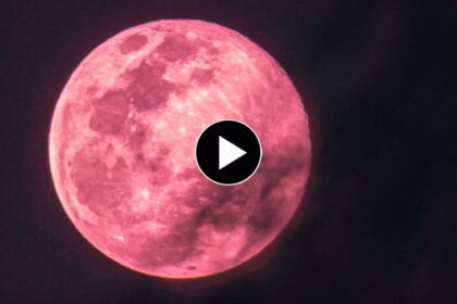 vollmond-august-2025-wann-ist-heute-stoer-mond-jetzt-im-live-tv Sternzeichen