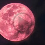 vollmond-november-2025-wann-ist-heute-supermond-live-tv-news