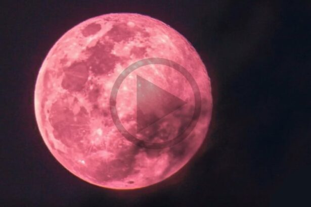 vollmond-november-2025-wann-ist-heute-supermond-live-tv-news