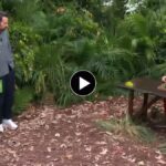 das-dschungelcamp-2026-im-rtl-finale-heute-live-gewinner-gil-samira-oder-hubert