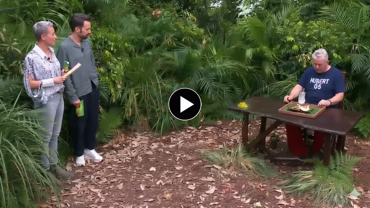 das-dschungelcamp-2026-im-rtl-finale-heute-live-gewinner-gil-samira-oder-hubert